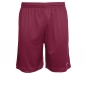 Preview: Stanno Field Shorts Maroon – Kinder